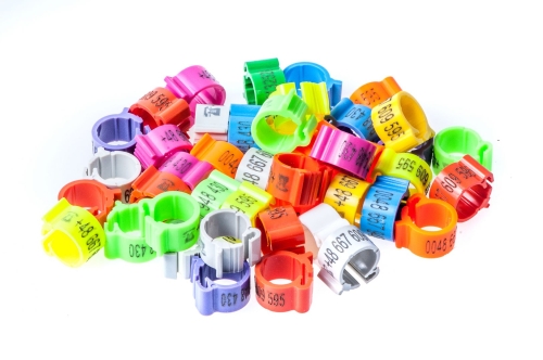 TAG WITH ENGRAVED PHONE NUMBER (50 pcs)