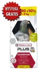 CHAMPION PLUS I.C.+ (LOTOWA) – 20KG