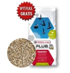 ENERGY PLUS I.C.+ (ENERGETYCZNA)