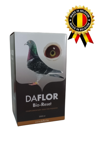 DAFLOR  BIO RESET 2L