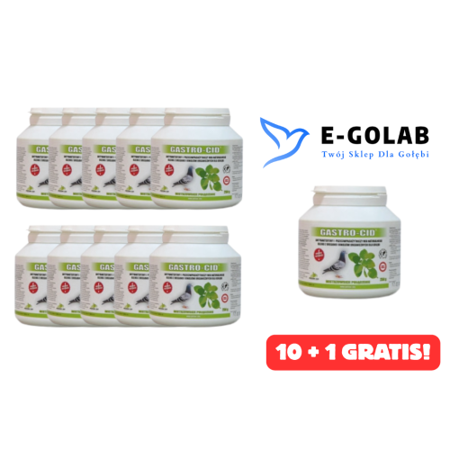 GASTRO-CID 250G 10 + 1 GRATIS