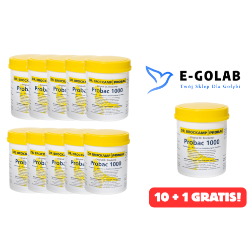 PROBAC 1000 - 500G 10 +1 GRATIS