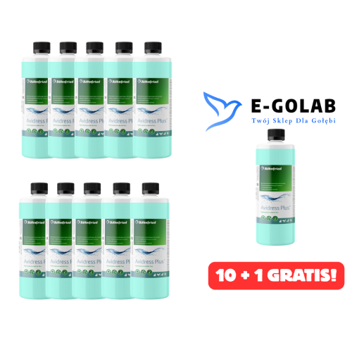 Avidress Plus 1L stabilizator wody 10 + 1 GRATIS
