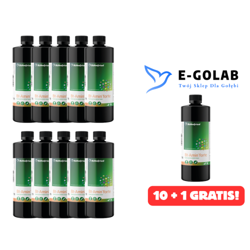 BT Amin Forte 1L aminokwasy, elektrolity 10 + 1 GRATIS