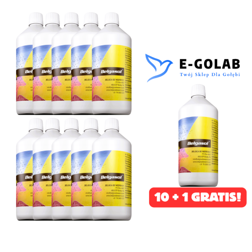 BELGASOL 1000ML ELEKTROLIT 10 + 1 GRATIS