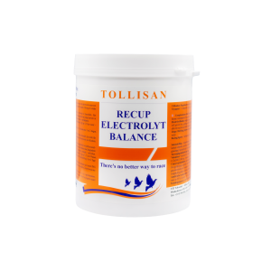 RECUP ELEKTROLYT BALANCE 500G