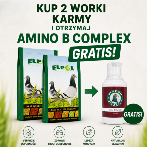 2xRL (ELPOL) + AMINO B COMPLEX (GRATIS) - DARMOWA WYSYŁKA!