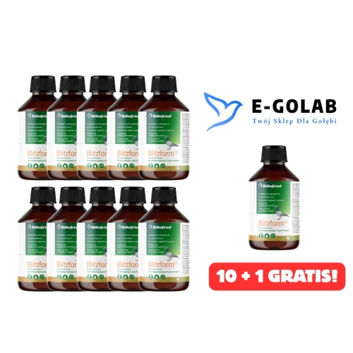 Blitzform 10 + 1 GRATIS
