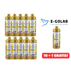 TOLLYAMIN FORTE 1L 10 + 1 GRATIS