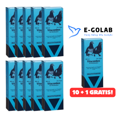VITACOMBEX 10 + 1 GRATIS