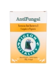 ANTIFUNGAL 50G (SASZETKA)